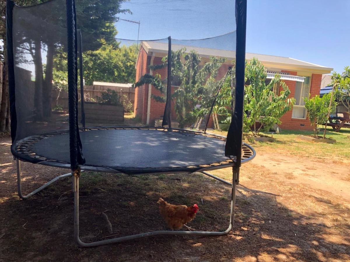 Charlie Sweet Home At Mornington Peninsula Mount Martha Luaran gambar